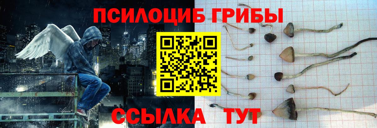 Псилоцибиновые грибы мухоморы Прокопьевск